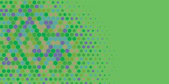 Geometric abstract Hexagon Two Color Background vector