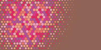 Geometric abstract Hexagon Two Color Background vector