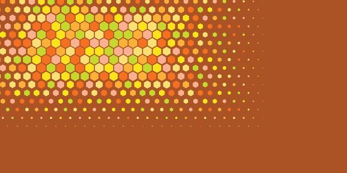 Geometric abstract Hexagon Two Color Background vector