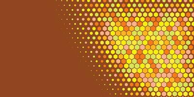 Geometric abstract Hexagon Two Color Background vector