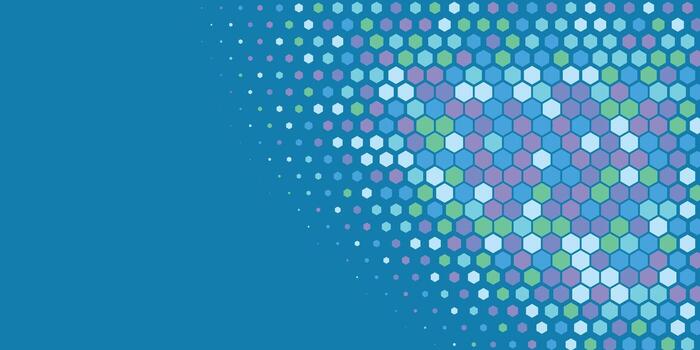 Geometric abstract Hexagon Two Color Background vector