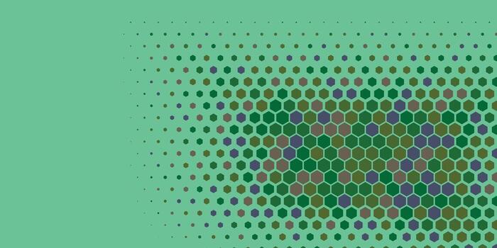 Geometric abstract Hexagon Two Color Background vector