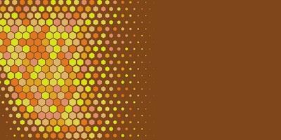 Geometric abstract Hexagon Two Color Background vector