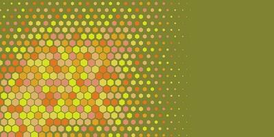 Geometric abstract Hexagon Two Color Background vector