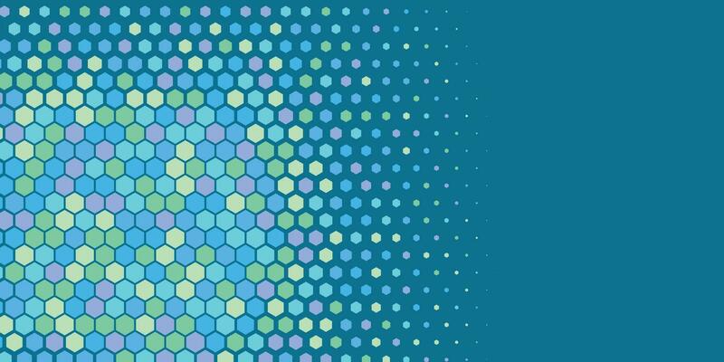 Geometric abstract Hexagon Two Color Background