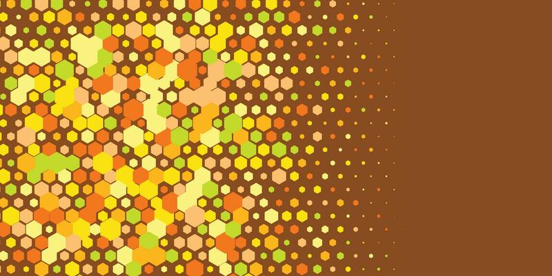 Geometric abstract Hexagon Two Color Background