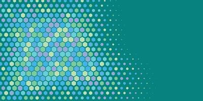 Geometric abstract Hexagon Two Color Background vector