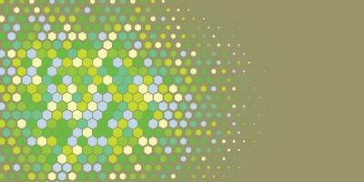 Geometric abstract Hexagon Two Color Background vector