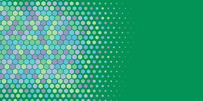 Geometric abstract Hexagon Two Color Background vector