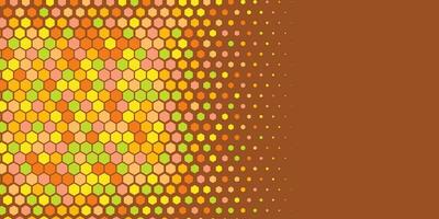 Geometric abstract Hexagon Two Color Background vector