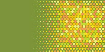 Geometric abstract Hexagon Two Color Background vector