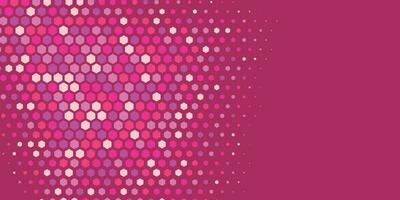 Geometric abstract Hexagon Two Color Background vector