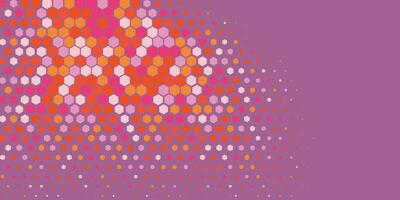 Geometric abstract Hexagon Two Color Background vector