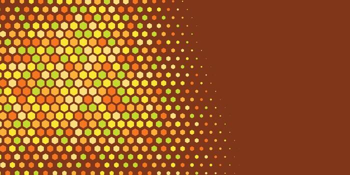 Geometric abstract Hexagon Two Color Background vector