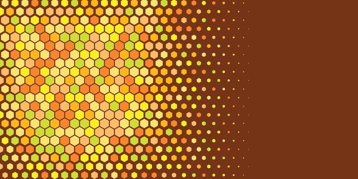 Geometric abstract Hexagon Two Color Background vector