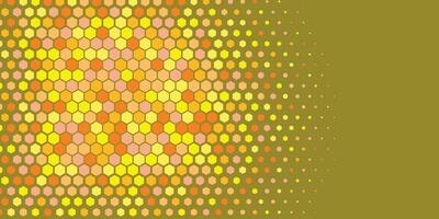 Geometric abstract Hexagon Two Color Background vector