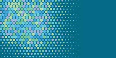 Geometric abstract Hexagon Two Color Background vector