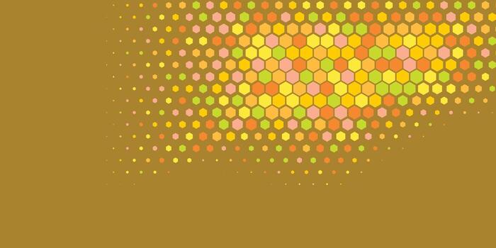 Geometric abstract Hexagon Two Color Background vector