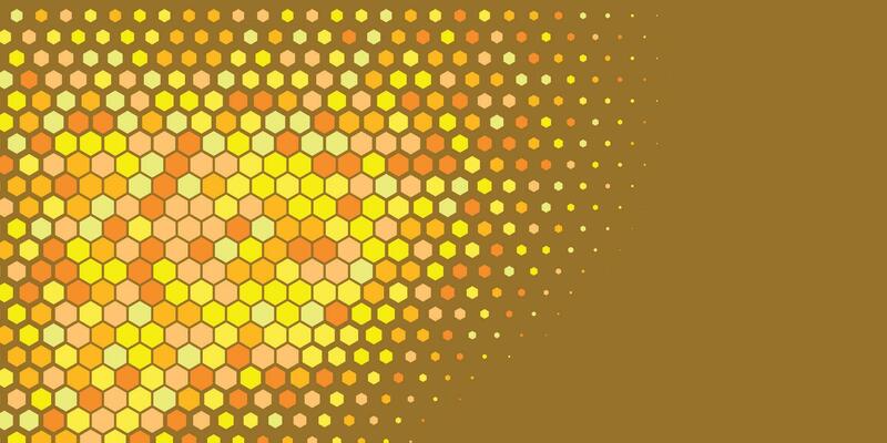 Geometric abstract Hexagon Two Color Background