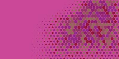 Geometric abstract Hexagon Two Color Background vector