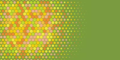 Geometric abstract Hexagon Two Color Background vector