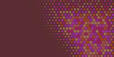 Geometric abstract Hexagon Two Color Background vector