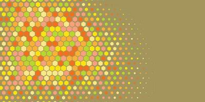 Geometric abstract Hexagon Two Color Background vector