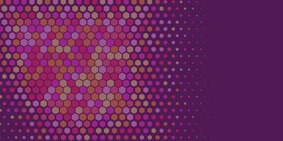 Geometric abstract Hexagon Two Color Background vector