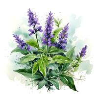 AI generated Watercolor illustration. Kitchen spices. Thyme sprigs and thyme flowers.ai generated photo