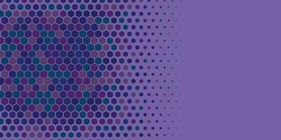 Geometric abstract Hexagon Two Color Background vector