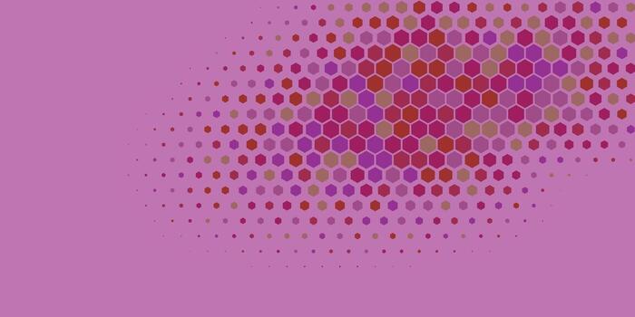 Geometric abstract Hexagon Two Color Background vector