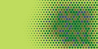 Geometric abstract Hexagon Two Color Background vector