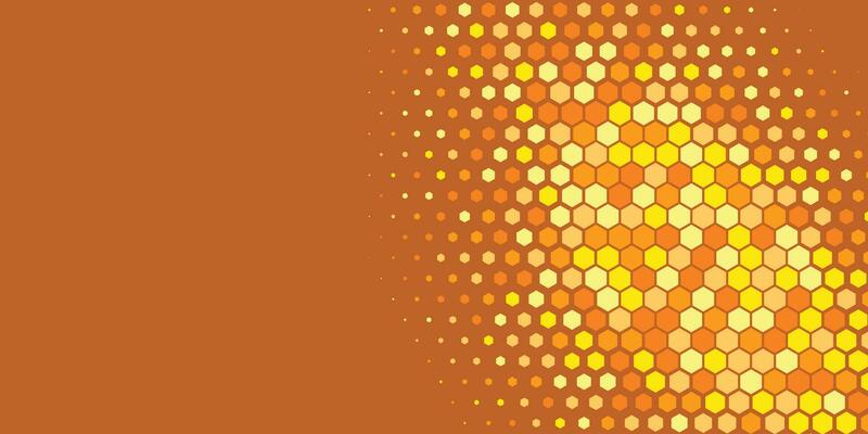 Geometric abstract Hexagon Two Color Background