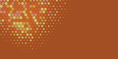 Geometric abstract Hexagon Two Color Background vector