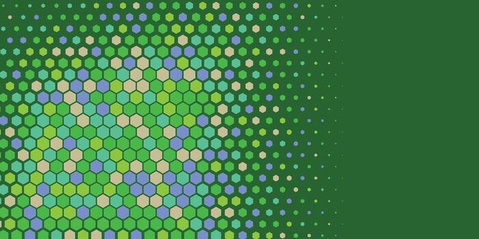 Geometric abstract Hexagon Two Color Background vector