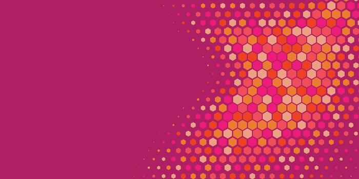 Geometric abstract Hexagon Two Color Background vector