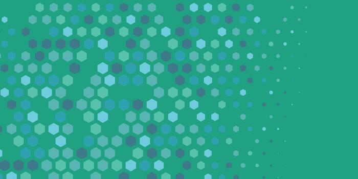 Geometric abstract Hexagon Two Color Background vector