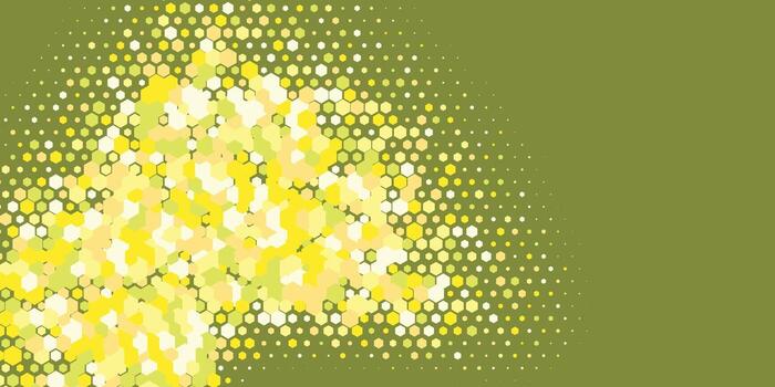 Geometric abstract Hexagon multi Color Background vector