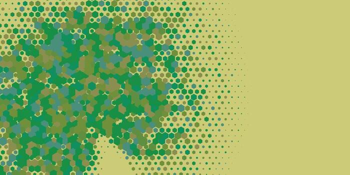 Geometric abstract Hexagon multi Color Background vector