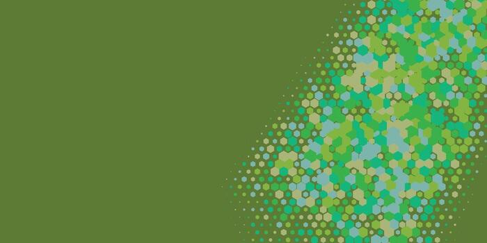 Geometric abstract Hexagon Two Color Background vector