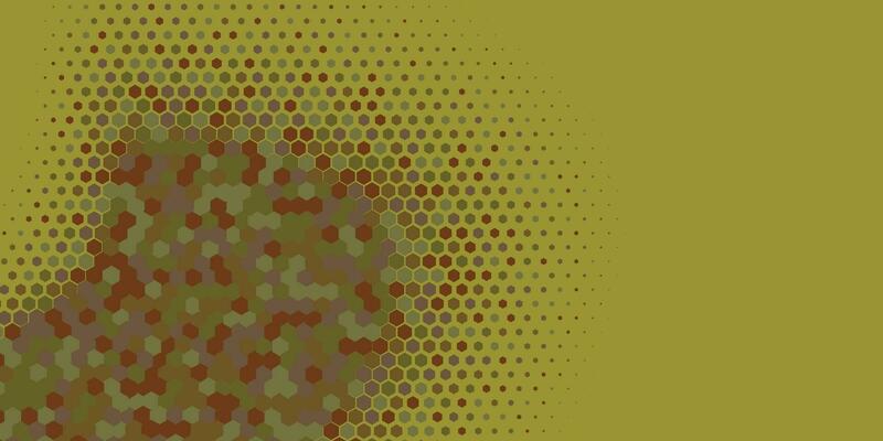 Geometric abstract Hexagon Two Color Background