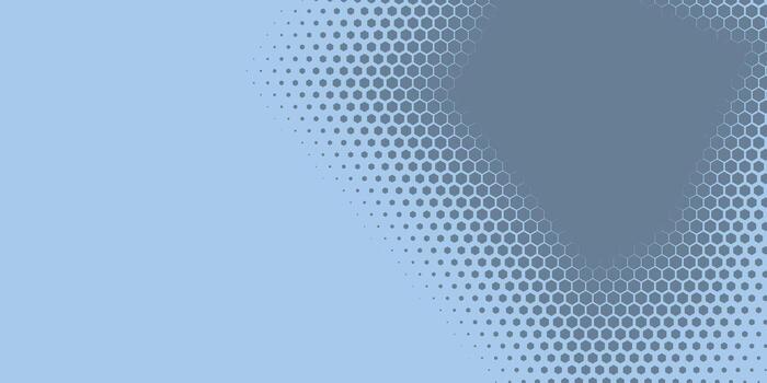 Geometric abstract Hexagon Two Color Background vector