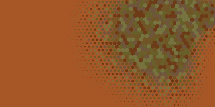 Geometric abstract Hexagon Two Color Background vector