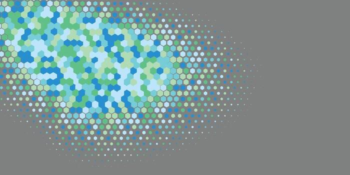 Geometric abstract Hexagon Two Color Background vector