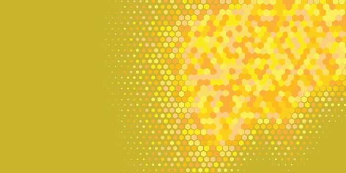 Geometric abstract Hexagon Two Color Background vector