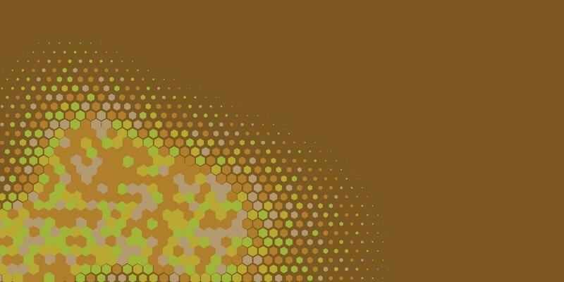 Geometric abstract Hexagon Two Color Background