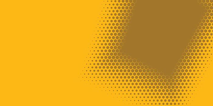 Geometric abstract Hexagon Two Color Background vector