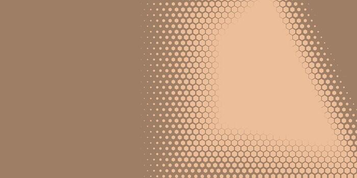 Geometric abstract Hexagon Two Color Background vector