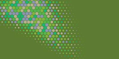 Geometric abstract Hexagon Two Color Background vector