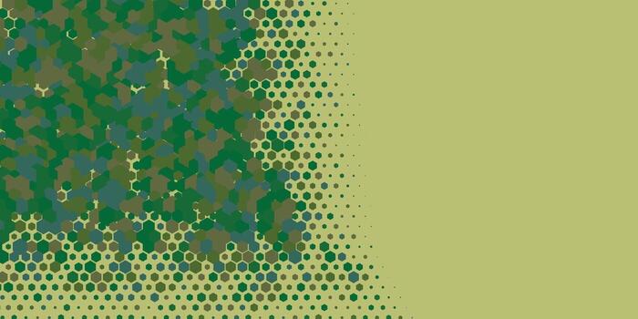 Geometric abstract Hexagon Two Color Background vector